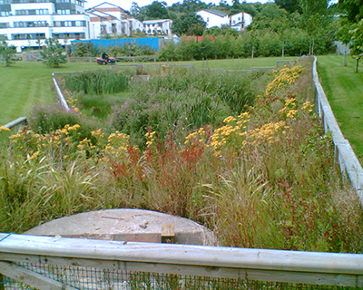 Protect - pre-treatment for stormwater storage