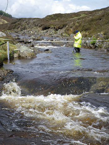 River spot flow measurement