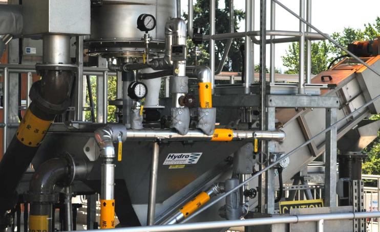 SlurryCup and Grit Snail in Oregon