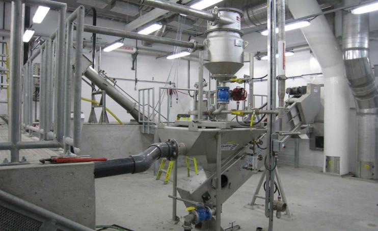 TeaCup on Girt Snail