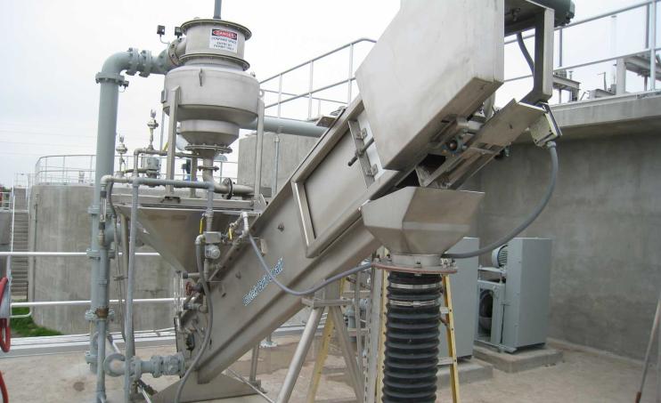 TeaCup on Grit Snail