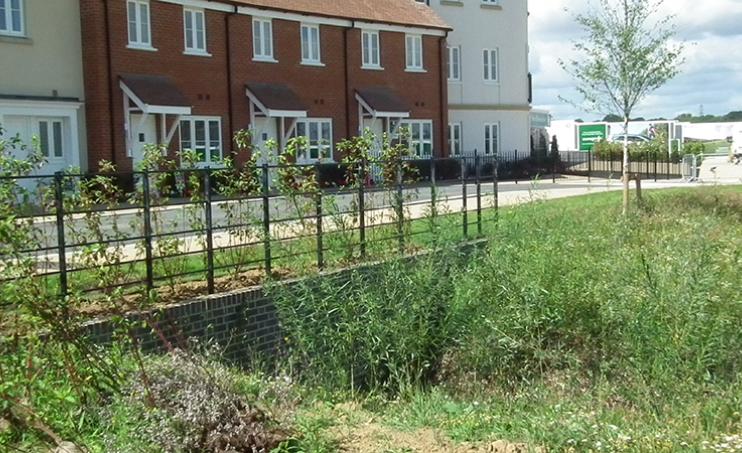 Photo showing housing with a pond