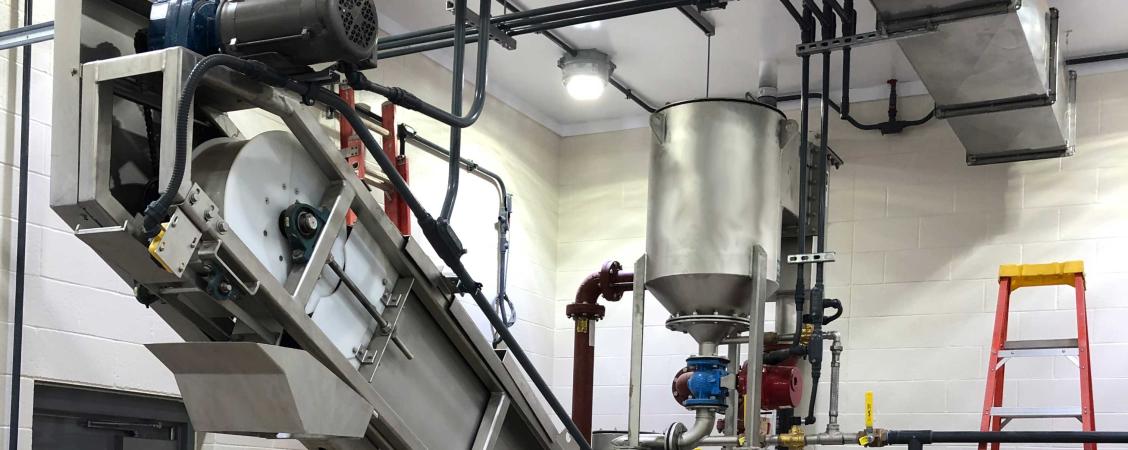 TeaCup on Grit Snail